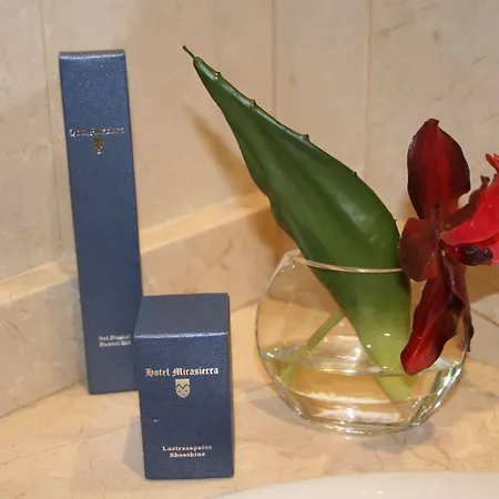 Mirasierra Hotel